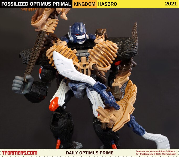 Daily Prime   Transformers Kingdom Fossilized Optimus Primal  (3 of 9)